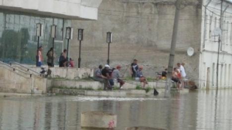 După inundaţii, în Brăila se pescuieşte în faţa blocului (FOTO)